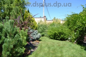 landshaft-dizain-dnepr (5)